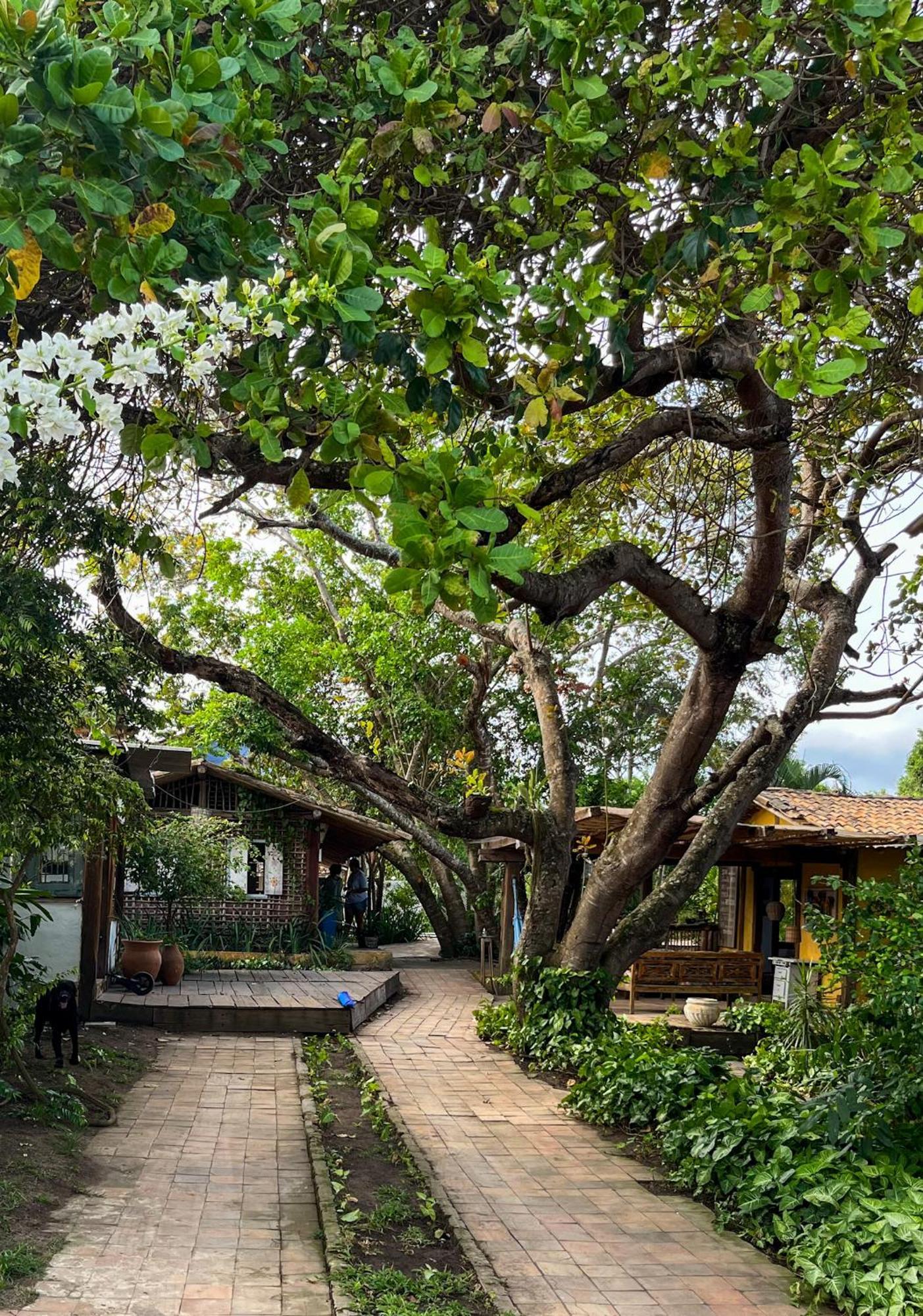 Vila Cizinho Itaunas  Exterior foto