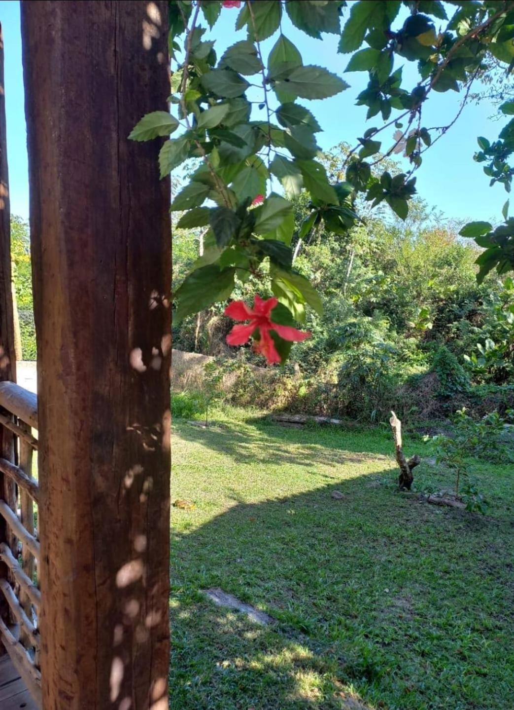 Vila Cizinho Itaunas  Exterior foto